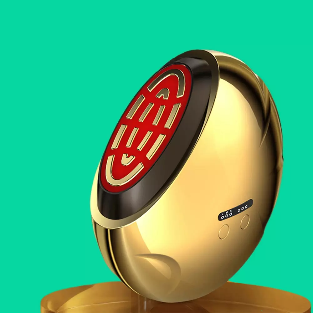 Facial Beauty Instrument