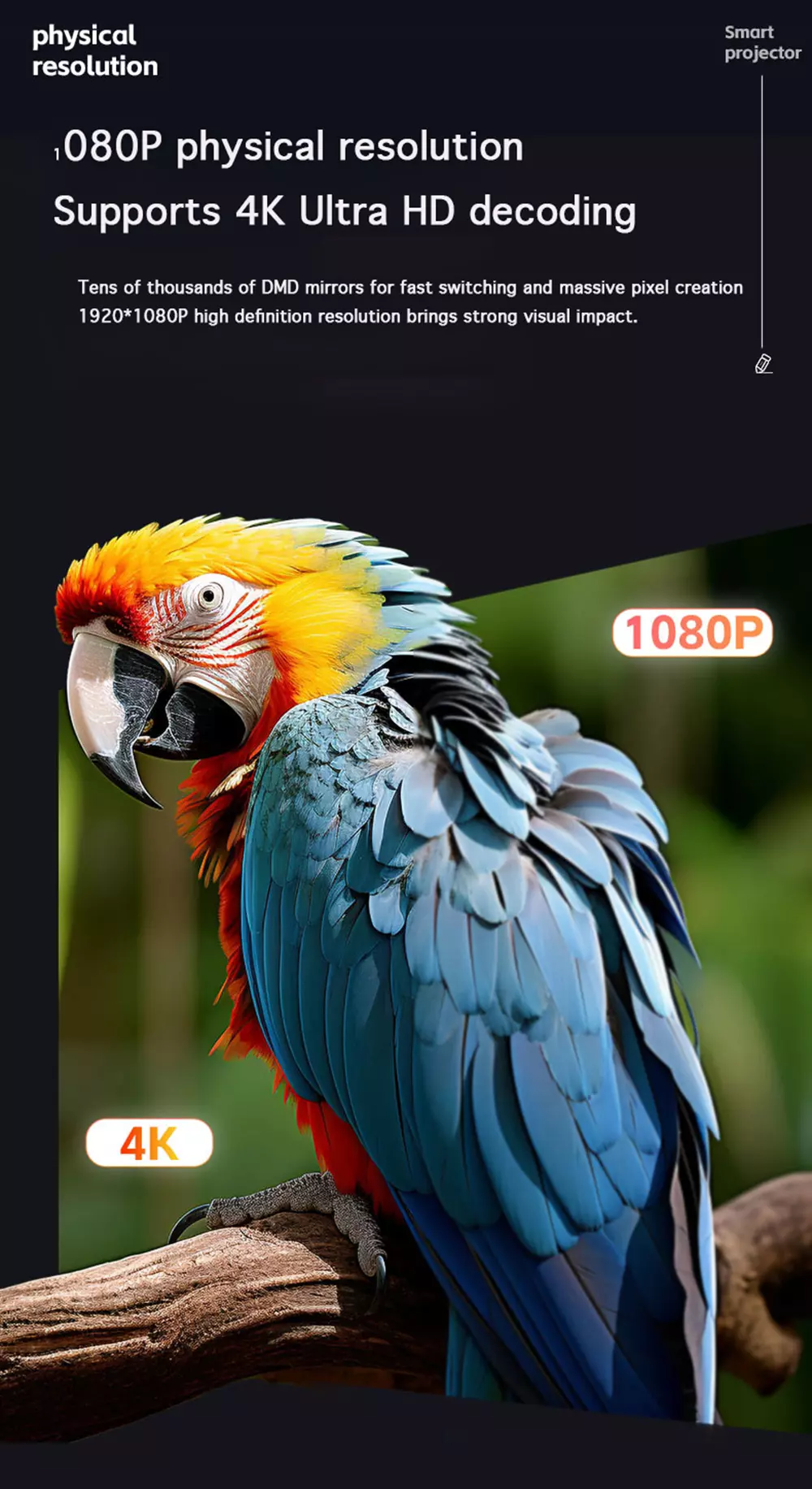45904d0c-afce-49ba-9800-a68be6c86fe4.webp
